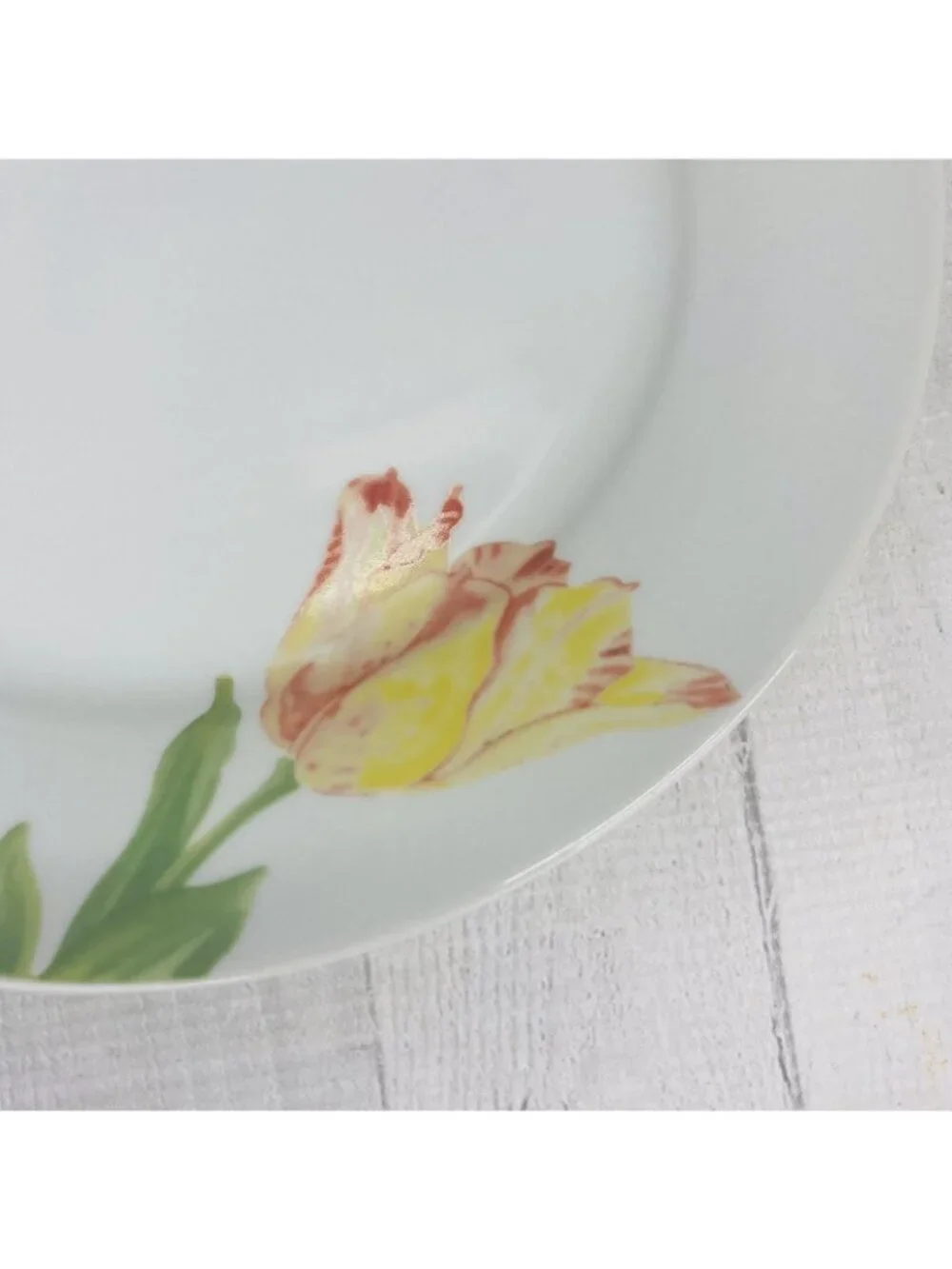 Gibson FLORIANA BLOOM Floral Rim On White Smooth Oven Safe Dinner Plates Set 4